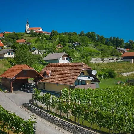 Feriehus Vineyard Hocevar With Sauna - Happy *