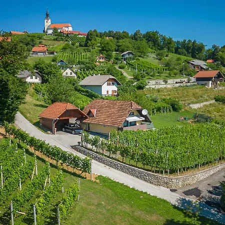 Feriehus Vineyard Hocevar With Sauna - Happy Novo Mesto