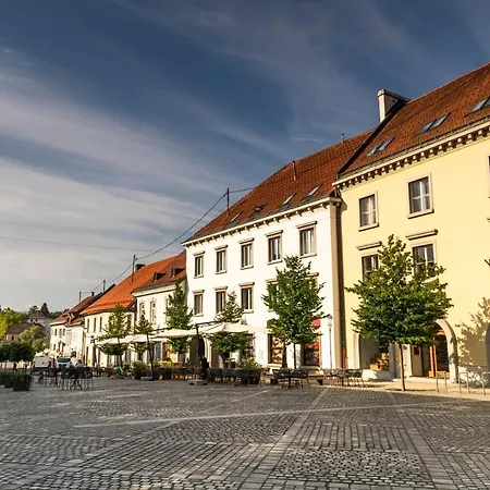 Vineyard Hocevar With Sauna - Happy Novo Mesto