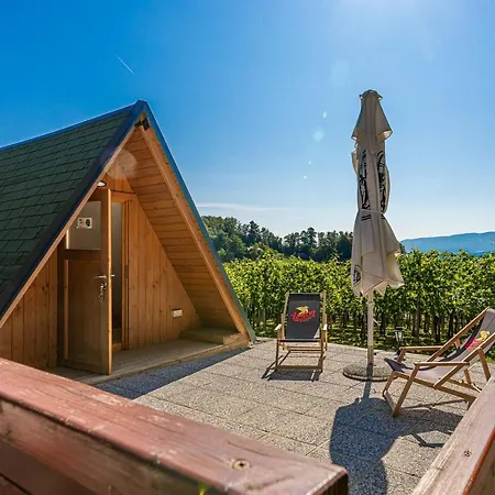 Vineyard Hocevar With Sauna - Happy