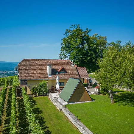 Vineyard Hocevar With Sauna - Happy Feriehus Novo Mesto
