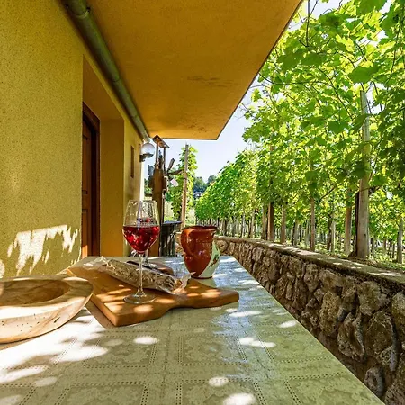 Vineyard Hocevar With Sauna - Happy Casa de Férias
